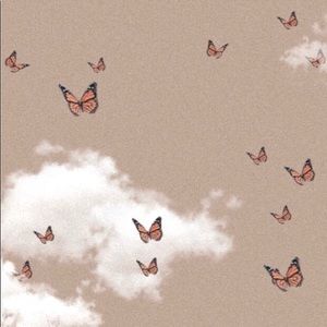 Meet your Posher, Maddy